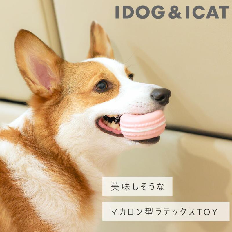 iDog ラテックスTOY マカロン