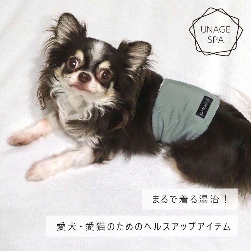 iDog UNAGE SPA アンエイジスパ 腹巻き