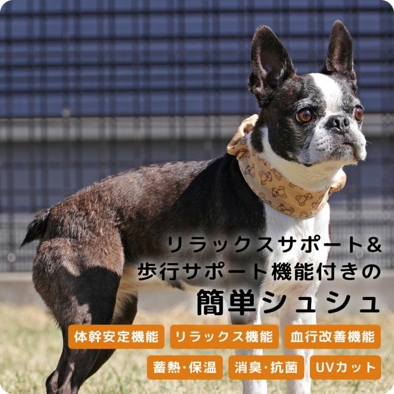 UNAGE DANON ウェルネス シュシュ