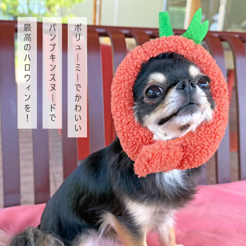 iDog パンプキンスヌード