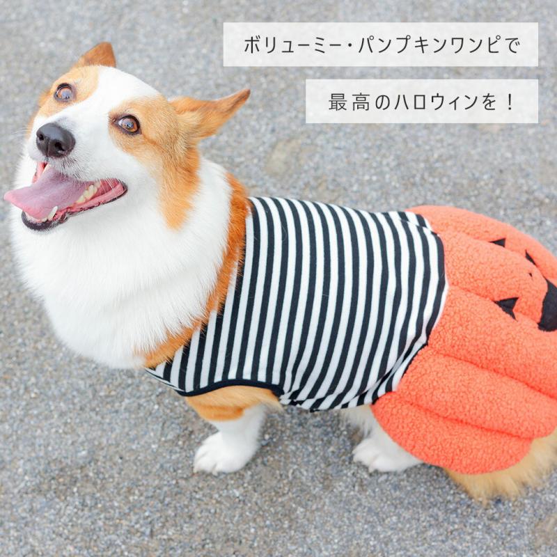 iDog パンプキンワンピ
