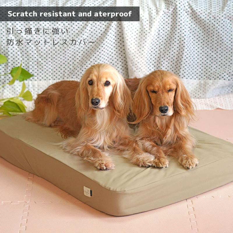 IDOG&ICAT TOGHTEX マットレス専用 防水ワンタッチボックスシーツ
