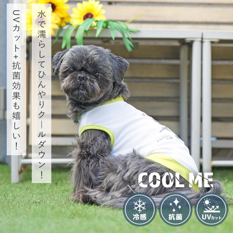 iDog COOL ME プリントタンク