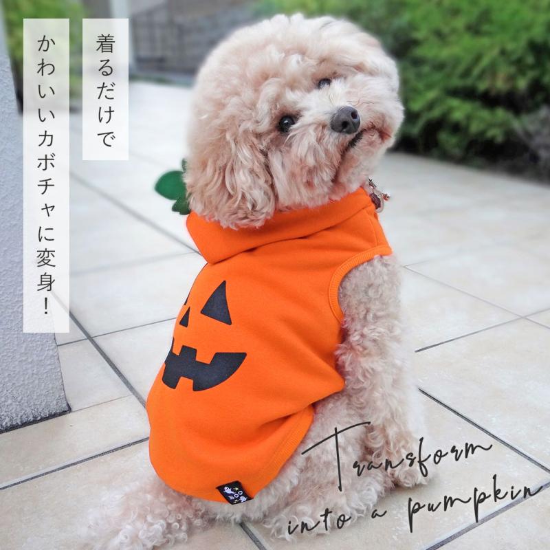 iDog ジャック・オ・ランタンパーカー