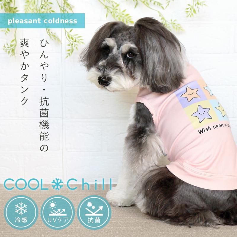 iDog COOL Chill ブロックスタープリントタンク