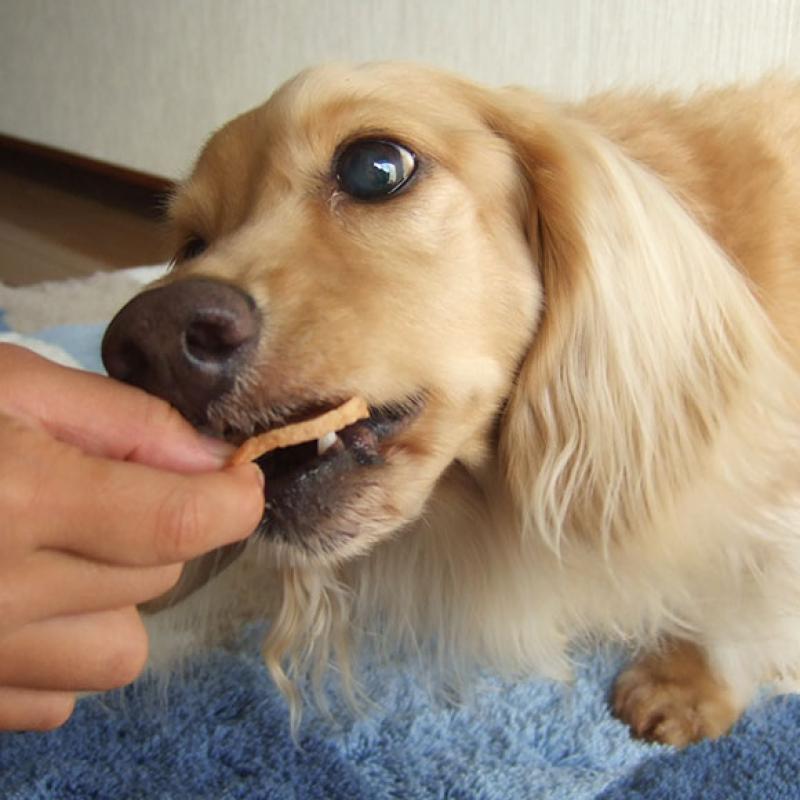 HAVIT チキンおからチップス