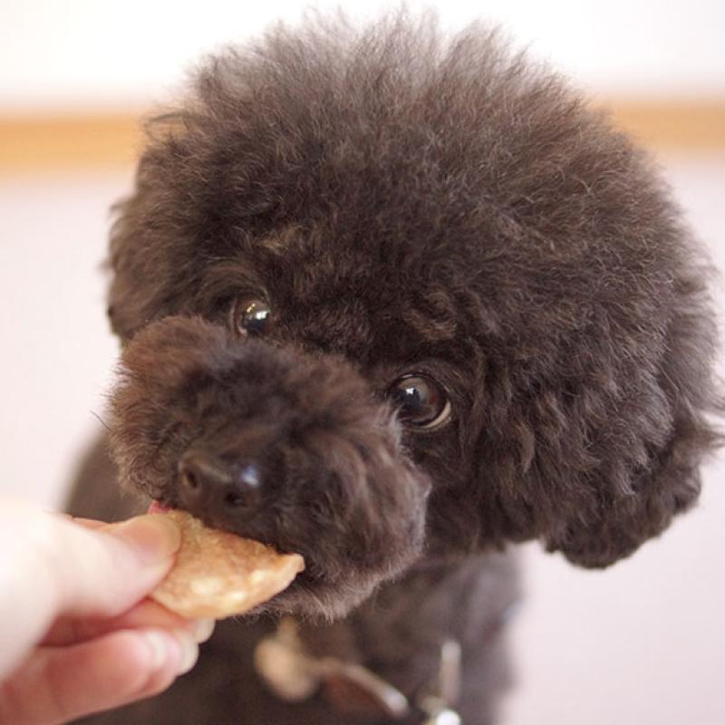HAVIT チーズチキンチップス