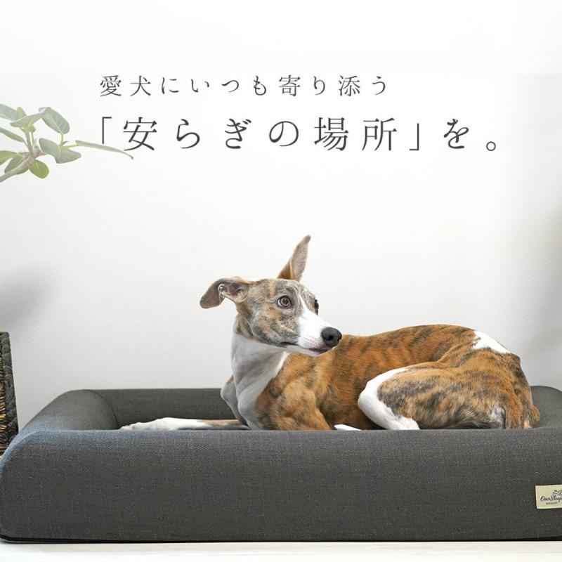 IDOG&ICAT レストキューブベッド Lサイズ