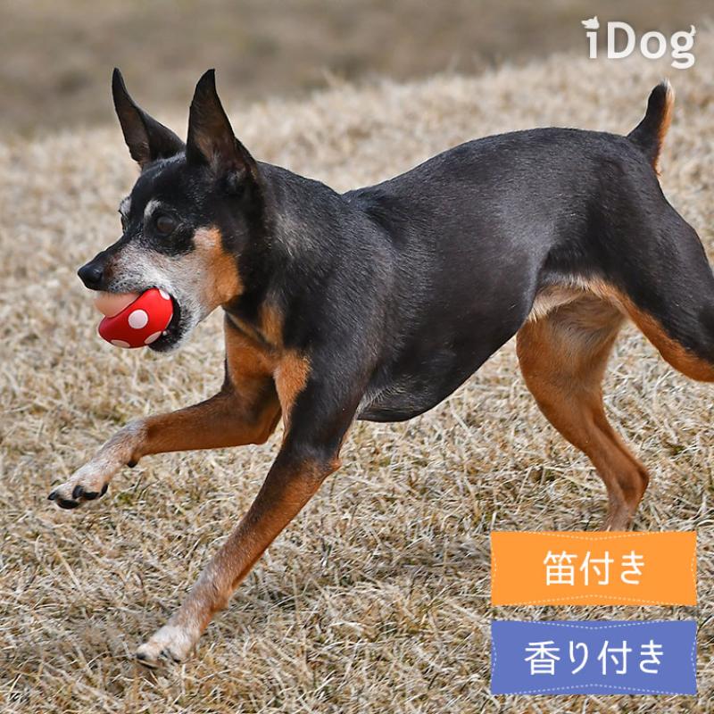 iDog TOY ラテックスTOY 水玉キノコ