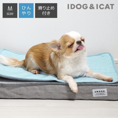 IDOG&ICAT ひんやり吸熱敷きパッド PCM Mサイズ 滑り止め付き