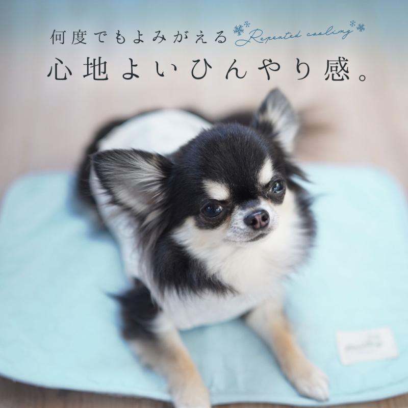 IDOG&ICAT ひんやり吸熱敷きパッド PCM Sサイズ 滑り止め付き