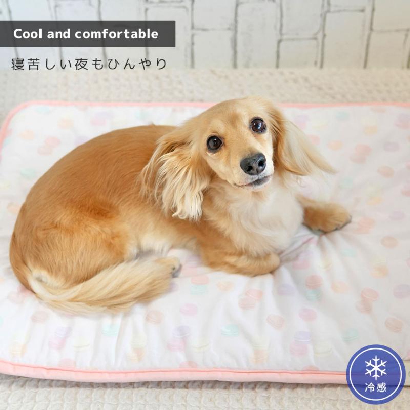 IDOG&ICAT クールステイマット