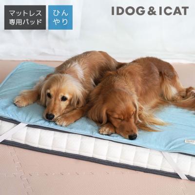 IDOG&ICAT マットレス専用ひんやり吸熱敷きパッド PCM