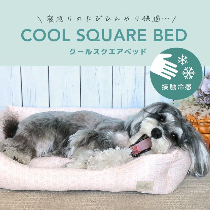 IDOG&ICAT クールスクエアベッド
