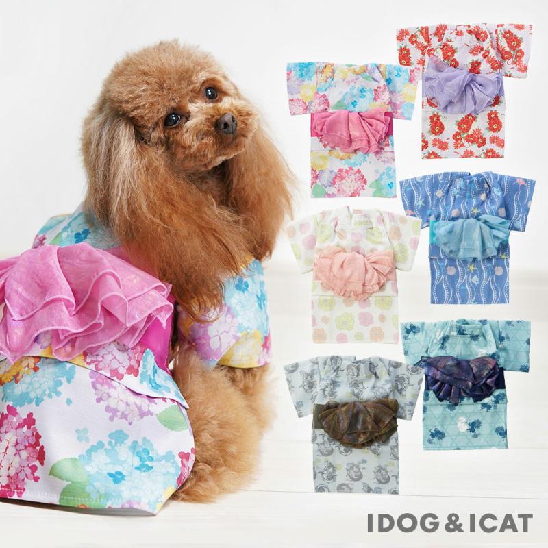 iDog 華やか大輪帯浴衣