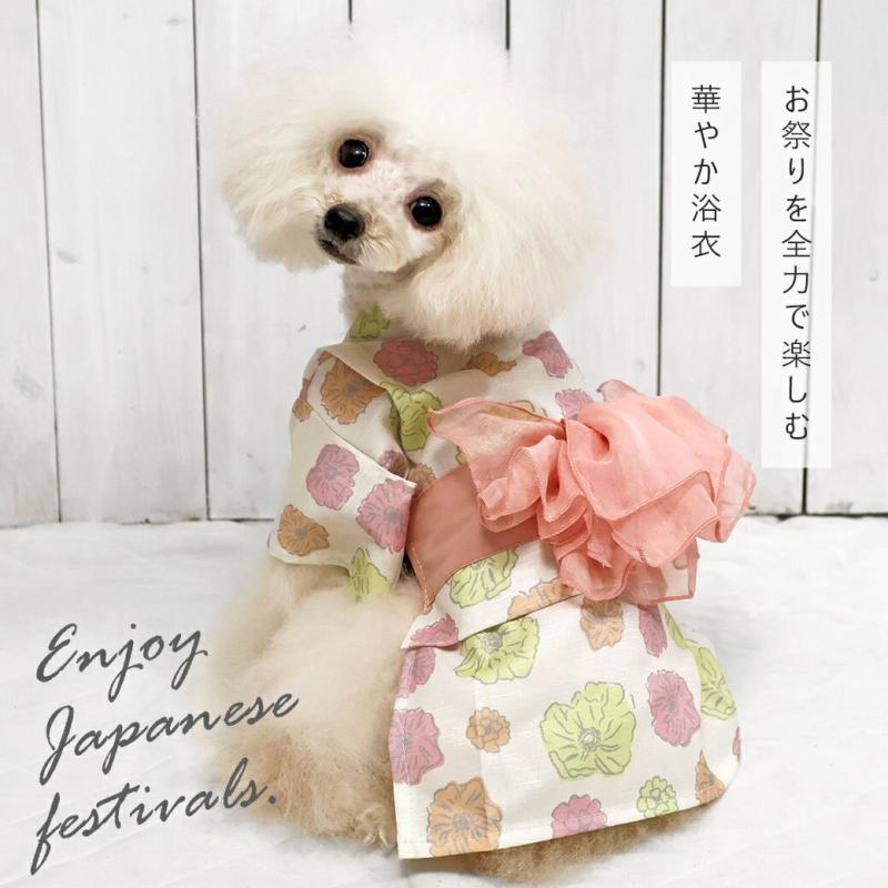 iDog 華やか大輪帯浴衣