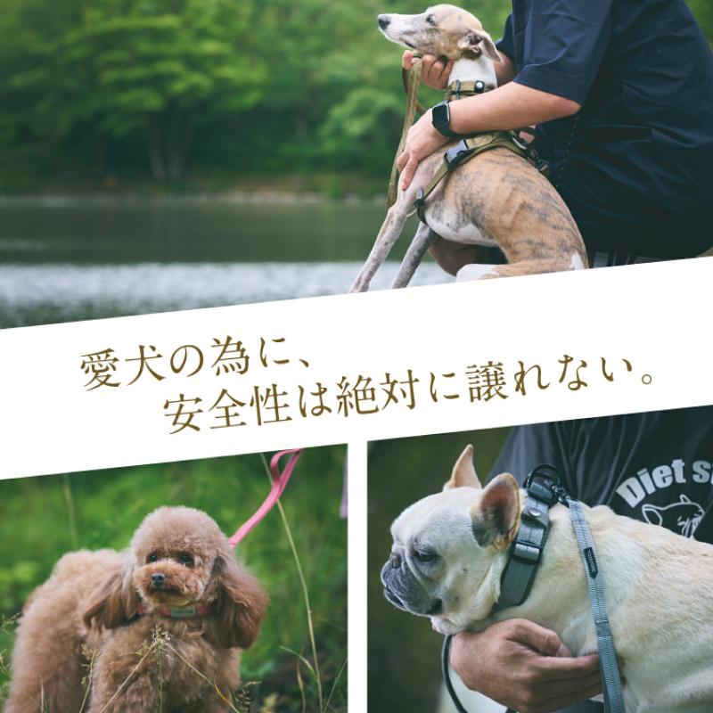 iDog TREKNINE カラー ダブルリングメッシュパッド