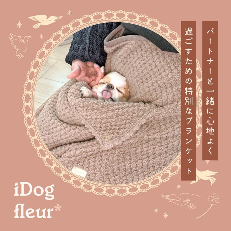iDog fleur 一緒にぬくぬくブランケット