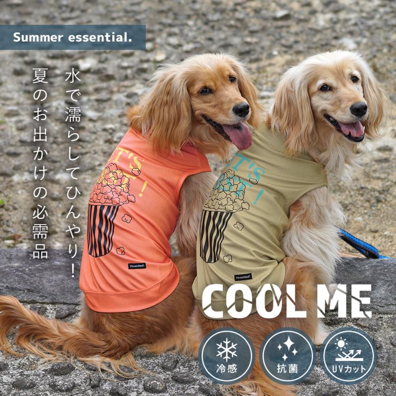 iDog 中大型犬用 COOL ME ポップコーンタンク